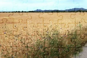 paisaje jigsaw puzzle