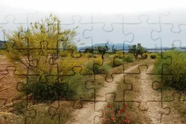 paisaje jigsaw puzzle