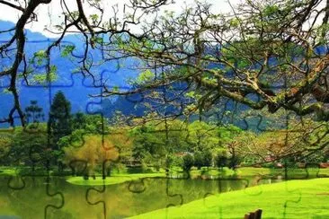 imagens jigsaw puzzle