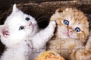 imagens jigsaw puzzle