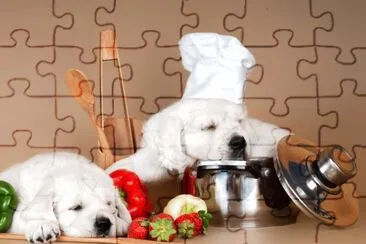 Animales-Perro,Cocinero jigsaw puzzle