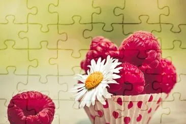 Alimento-Frambuesa jigsaw puzzle