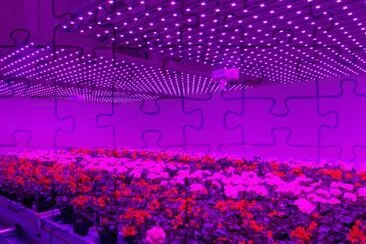 פאזל של Plant Lab of the Future-Holland