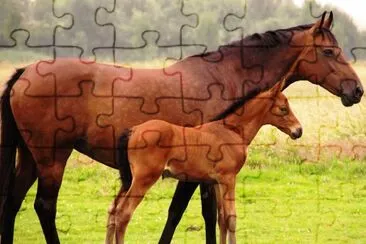 mom#244 jigsaw puzzle