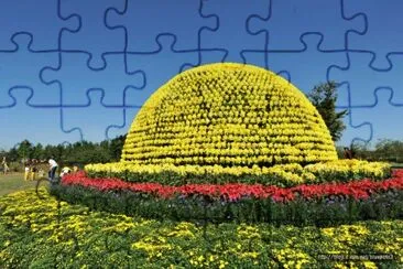 imagens jigsaw puzzle