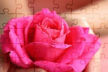 imagens jigsaw puzzle