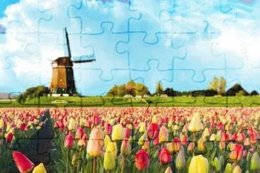 NATUREZA jigsaw puzzle