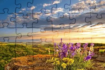 NATUREZA jigsaw puzzle