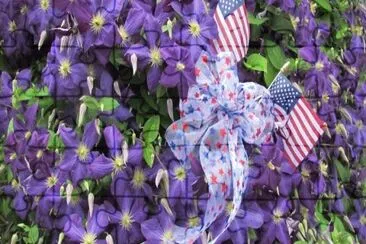 פאזל של Purple Clematis and Flags