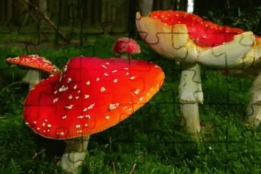 Amanita Muscaria, Setas .jpg jigsaw puzzle