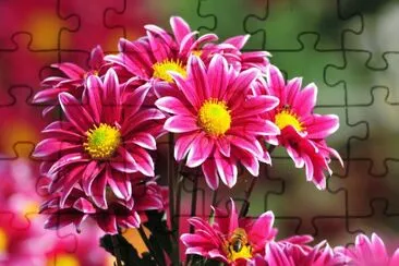 flowers jigsaw puzzle