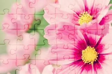 flowers jigsaw puzzle