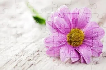 flowers jigsaw puzzle