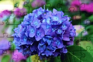 flowers jigsaw puzzle