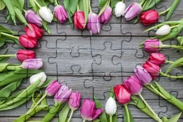 tulip jigsaw puzzle