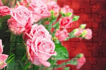 rose jigsaw puzzle