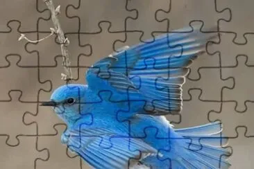 imagens jigsaw puzzle