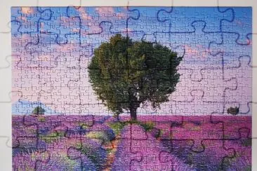 Puzzle- Resuelto- Acabado. jigsaw puzzle