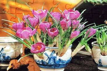 tulipanes jigsaw puzzle