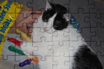 Mein Kater Teddy jigsaw puzzle