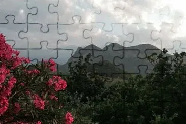 Corse jigsaw puzzle