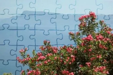 CrÃ¨te jigsaw puzzle