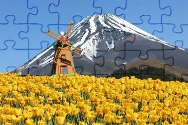 imagens jigsaw puzzle