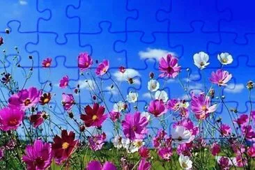 imagens jigsaw puzzle