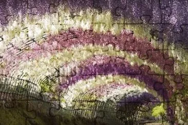 Wisteria Flower Tunnel