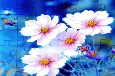 Flores jigsaw puzzle