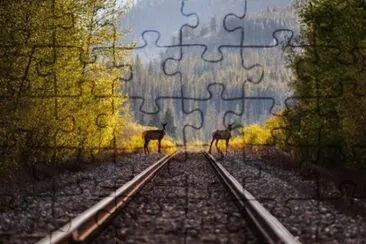 NATUREZA jigsaw puzzle