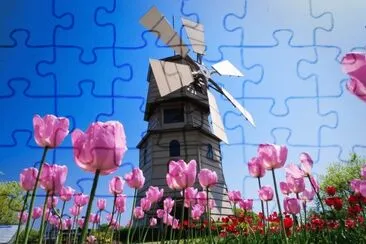 Tulipanes jigsaw puzzle