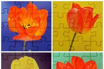 Tulipanes jigsaw puzzle