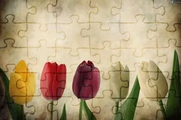 Tulipanes jigsaw puzzle