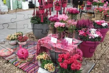 Keukenhof Gardens Display, Netherlands