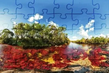 NATUREZA jigsaw puzzle