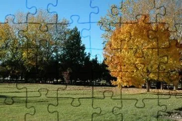 OtoÃ±o en 25 de Mayo. La Pampa. Argentina jigsaw puzzle