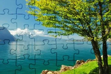 1h jigsaw puzzle