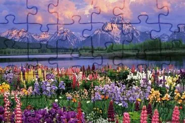 garden 11 jigsaw puzzle