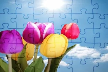 Tulipanes- Primavera, Colorido jigsaw puzzle