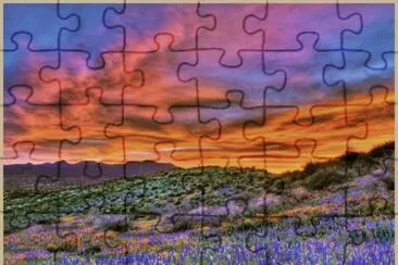 spring in the desert jigsaw puzzle