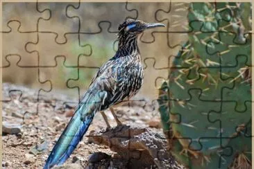 road runner jigsaw puzzle