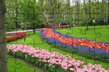 Keukenhof Gardens, Netherlands