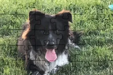 samson jigsaw puzzle