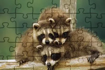 c5a jigsaw puzzle