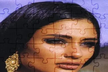 1 jigsaw puzzle