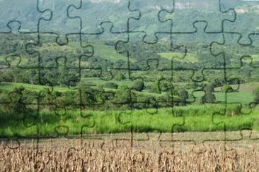 campos de Naolinco jigsaw puzzle