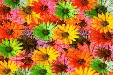 Colorido-Floral jigsaw puzzle