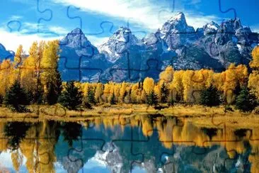 009 jigsaw puzzle