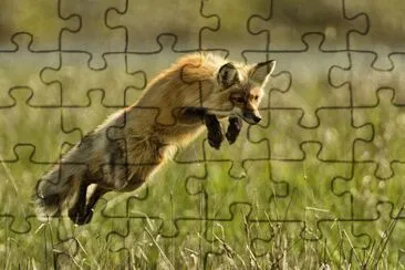 0103 jigsaw puzzle